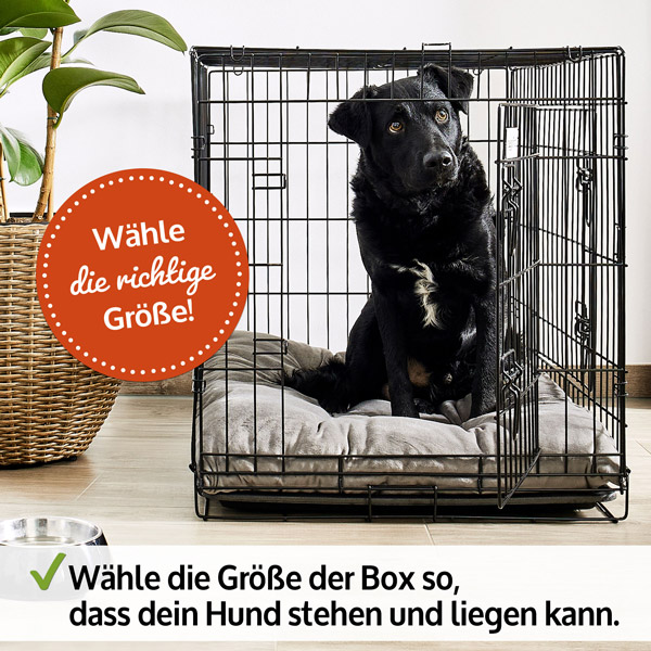 Faltbare und robuste XL Hundebox I Hier günstig bestellen!