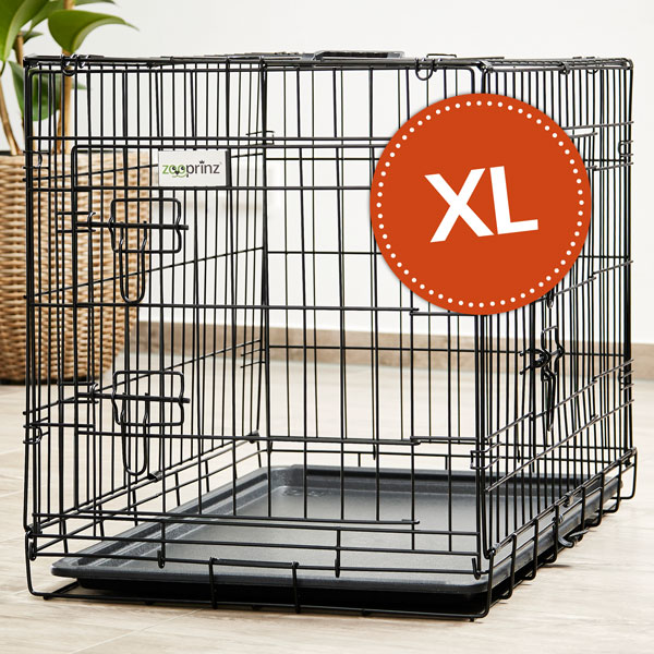 Faltbare und robuste XL Hundebox I Hier günstig bestellen!